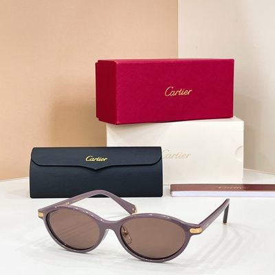 Cartier Sunglasses — 3