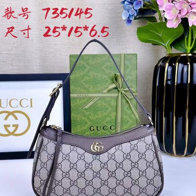 Gucci Bag