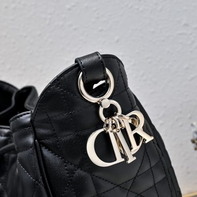 Dior Bag — 5