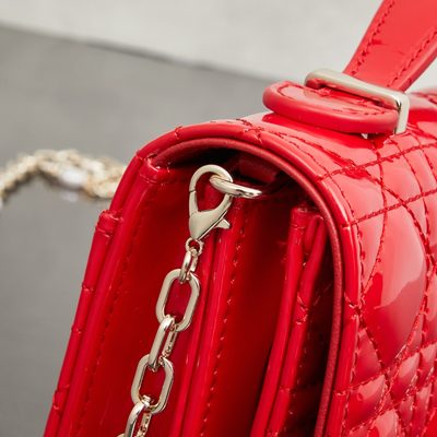Dior Bag — 5