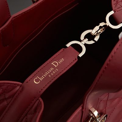 Dior Bag — 7