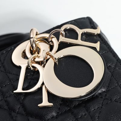 Dior Bag — 5