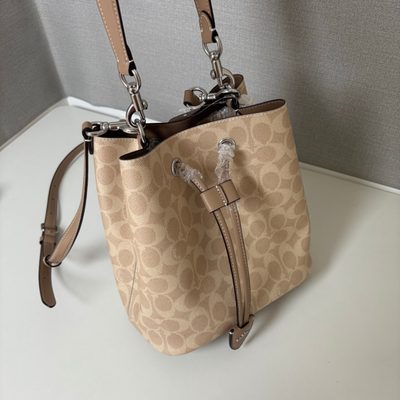 Coach Bag — 6
