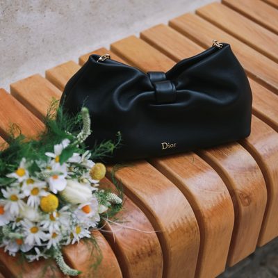 Dior Bag — 13