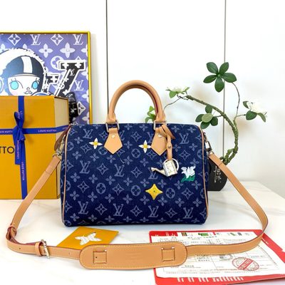 Louis Vuitton Bag