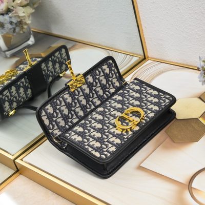 Dior Bag — 7