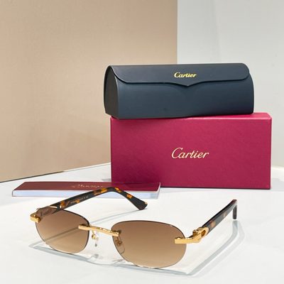 Cartier Sunglasses — 8