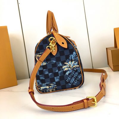 Louis Vuitton Bag — 4