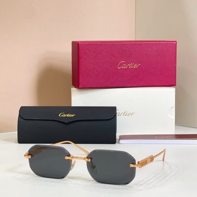 Cartier Sunglasses — 8