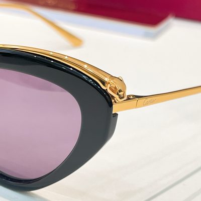 Cartier Sunglasses — 9