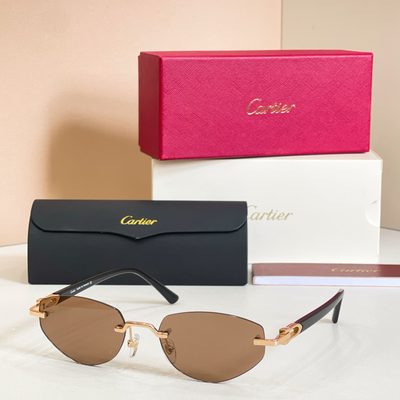 Cartier Sunglasses — 4
