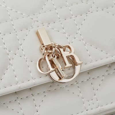 Dior Bag — 5