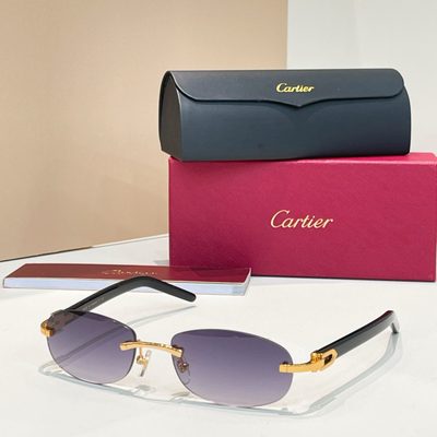 Cartier Sunglasses — 5