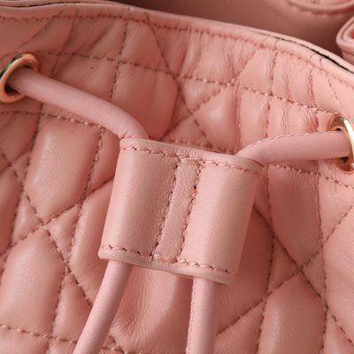 Dior Bag — 5