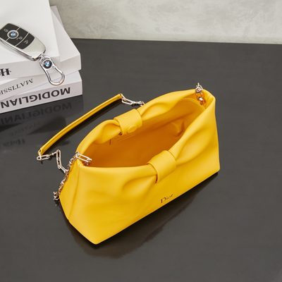 Dior Bag — 9