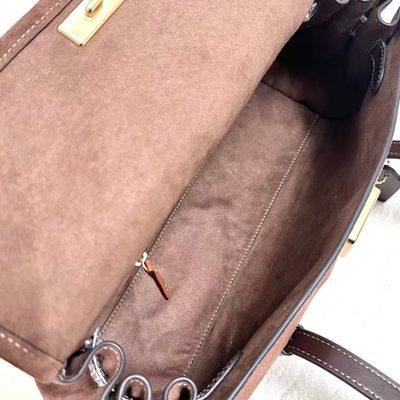 Coach Bag — 6