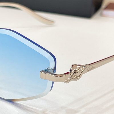 Cartier Sunglasses — 7