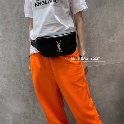 YSL Bag