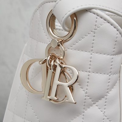 Dior Bag — 6