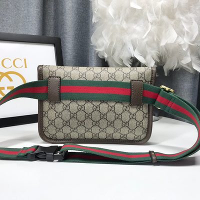 Gucci Bag — 6