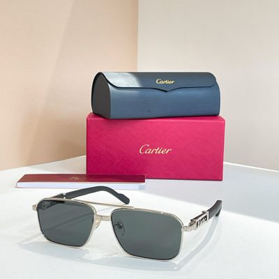 Cartier Sunglasses — 9