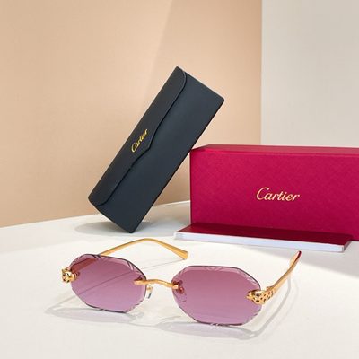 Cartier Sunglasses — 6