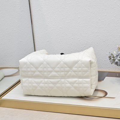 Dior Bag — 6