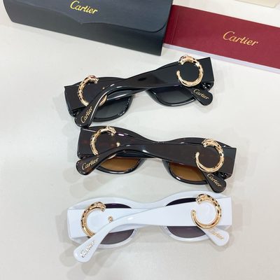 Cartier Sunglasses — 8
