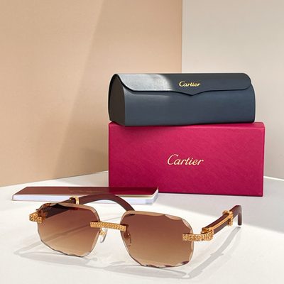 Cartier Sunglasses — 5