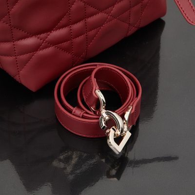 Dior Bag — 6