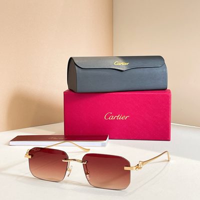 Cartier Sunglasses — 4