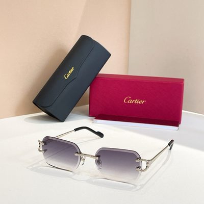 Cartier Sunglasses — 8