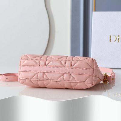 Dior Bag — 4