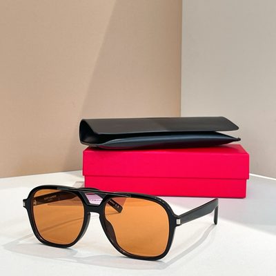 YSL Sunglasses — 6