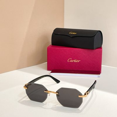 Cartier Sunglasses — 4