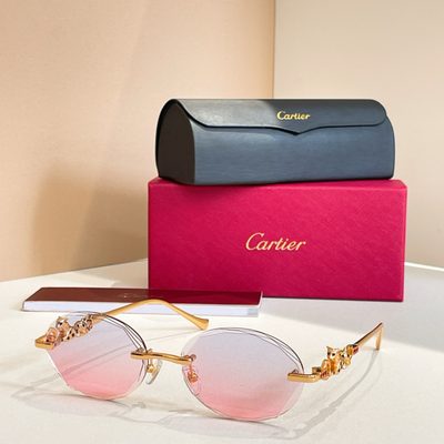 Cartier Sunglasses — 3