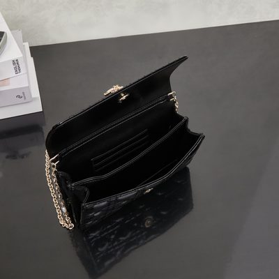 Dior Bag — 9