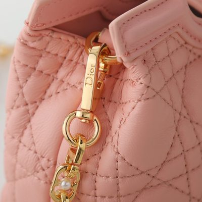 Dior Bag — 6