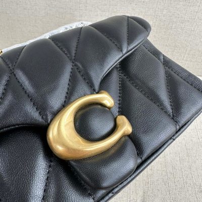Coach Bag — 4