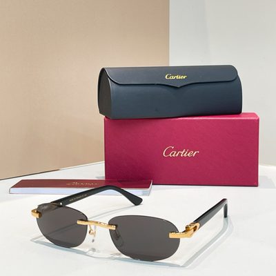 Cartier Sunglasses — 7