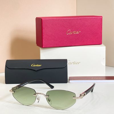 Cartier Sunglasses — 7