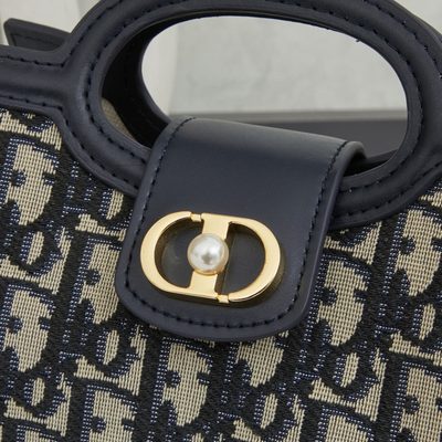 Dior Bag — 5