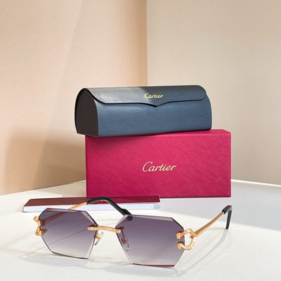 Cartier Sunglasses — 8