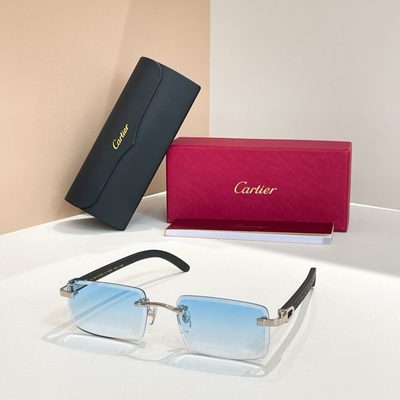 Cartier Sunglasses — 9
