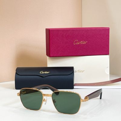 Cartier Sunglasses — 6