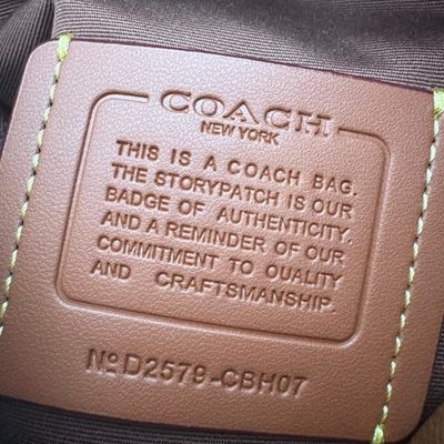 Coach Bag — 10