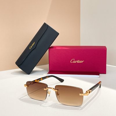 Cartier Sunglasses — 3