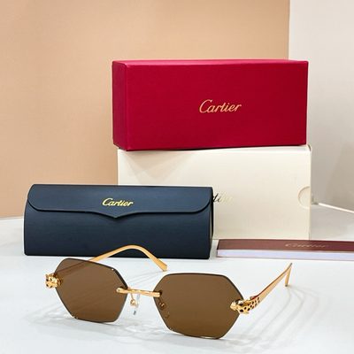Cartier Sunglasses — 6