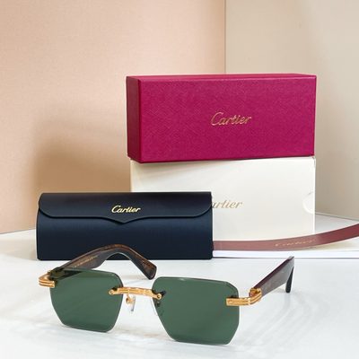 Cartier Sunglasses — 5