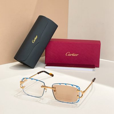 Cartier Sunglasses — 3